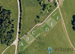 WIL585849 - zdjęcie nr 2