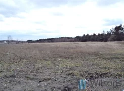 WIL144557 - zdjęcie nr 2