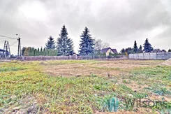 WIL458485 - zdjęcie nr 3