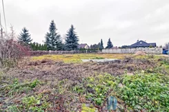 WIL458485 - zdjęcie nr 4