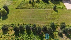 WIL183909 - zdjęcie nr 3