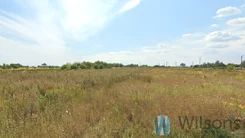 WIL752051 - zdjęcie nr 2