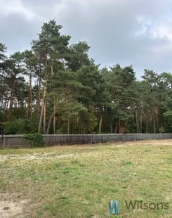 WIL666328 - zdjęcie nr 2