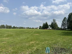 WIL914826 - zdjęcie nr 4