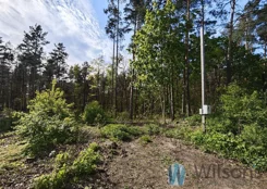 WIL129575 - zdjęcie nr 4