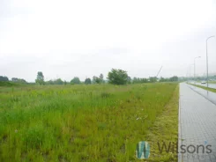 WIL992119 - zdjęcie nr 1