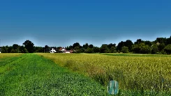 WIL703848 - zdjęcie nr 0