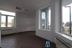 WIL283254 - zdjęcie nr 1