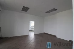 WIL283254 - zdjęcie nr 2