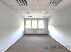 WIL931091 - zdjęcie nr 2