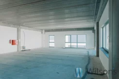 WIL832658 - zdjęcie nr 2