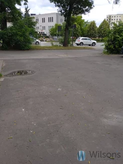 WIL266931 - zdjęcie nr 2