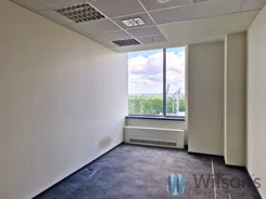 WIL985319 - zdjęcie nr 2