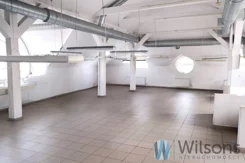 WIL937244 - zdjęcie nr 4
