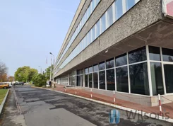WIL699505 - zdjęcie nr 0
