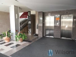 WIL574969 - zdjęcie nr 0