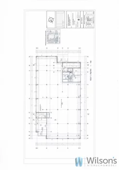WIL317249 - zdjęcie nr 2