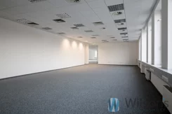 WIL496108 - zdjęcie nr 1