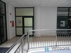 WIL808610 - zdjęcie nr 2