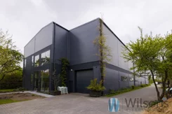 WIL505057 - zdjęcie nr 0
