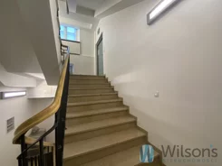 WIL306624 - zdjęcie nr 2