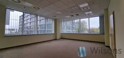 WIL229488 - zdjęcie nr 2