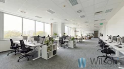 WIL839422 - zdjęcie nr 2