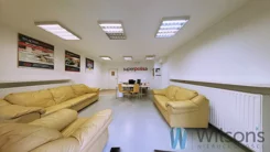 WIL242553 - zdjęcie nr 0
