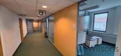 WIL932377 - zdjęcie nr 0
