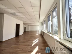 WIL122956 - zdjęcie nr 0
