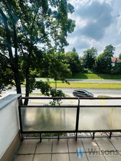 WIL773181 - zdjęcie nr 0