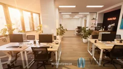 WIL234649 - zdjęcie nr 1