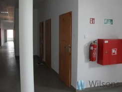 WIL171063 - zdjęcie nr 3