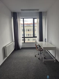 WIL442733 - zdjęcie nr 4