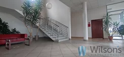 WIL342794 - zdjęcie nr 3