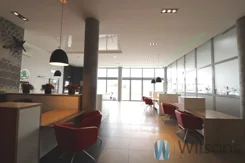 WIL870408 - zdjęcie nr 4