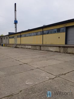 WIL389392 - zdjęcie nr 0