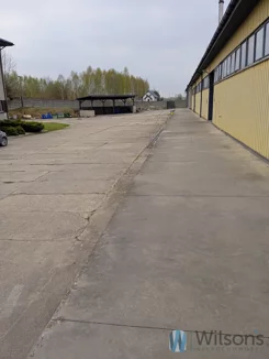 WIL389392 - zdjęcie nr 3