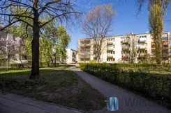 WIL996055 - zdjęcie nr 0