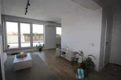 WIL434129801 - zdjęcie nr 4