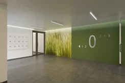 Mirabelkowa Aleja - Etap IV - zdjęcie nr 4