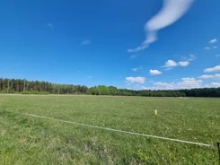 154/8652/OGS - zdjęcie nr 2