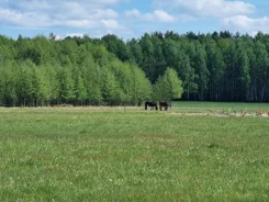 154/8652/OGS - zdjęcie nr 3