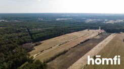 1709/2089/OGS - zdjęcie nr 3