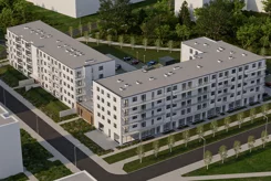Lipa Piotrowska - zdjęcie nr 3