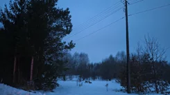 LS02590 - zdjęcie nr 1