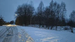 LS02590 - zdjęcie nr 4