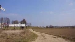 LS2594 - zdjęcie nr 1