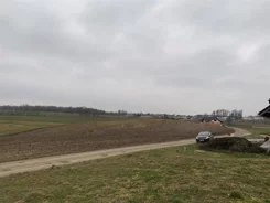 LS2594 - zdjęcie nr 3