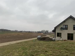 LS2594 - zdjęcie nr 4